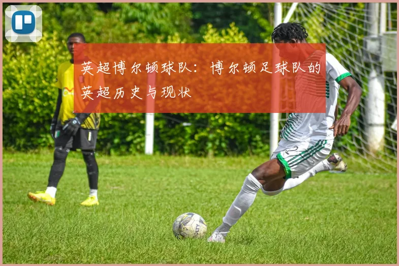 英超博尔顿球队：博尔顿足球队的英超历史与现状