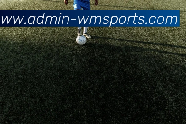 完美体育官网平台生态图