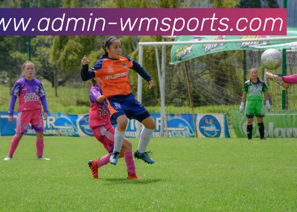 完美体育官网全站App 完美体育官网全站App